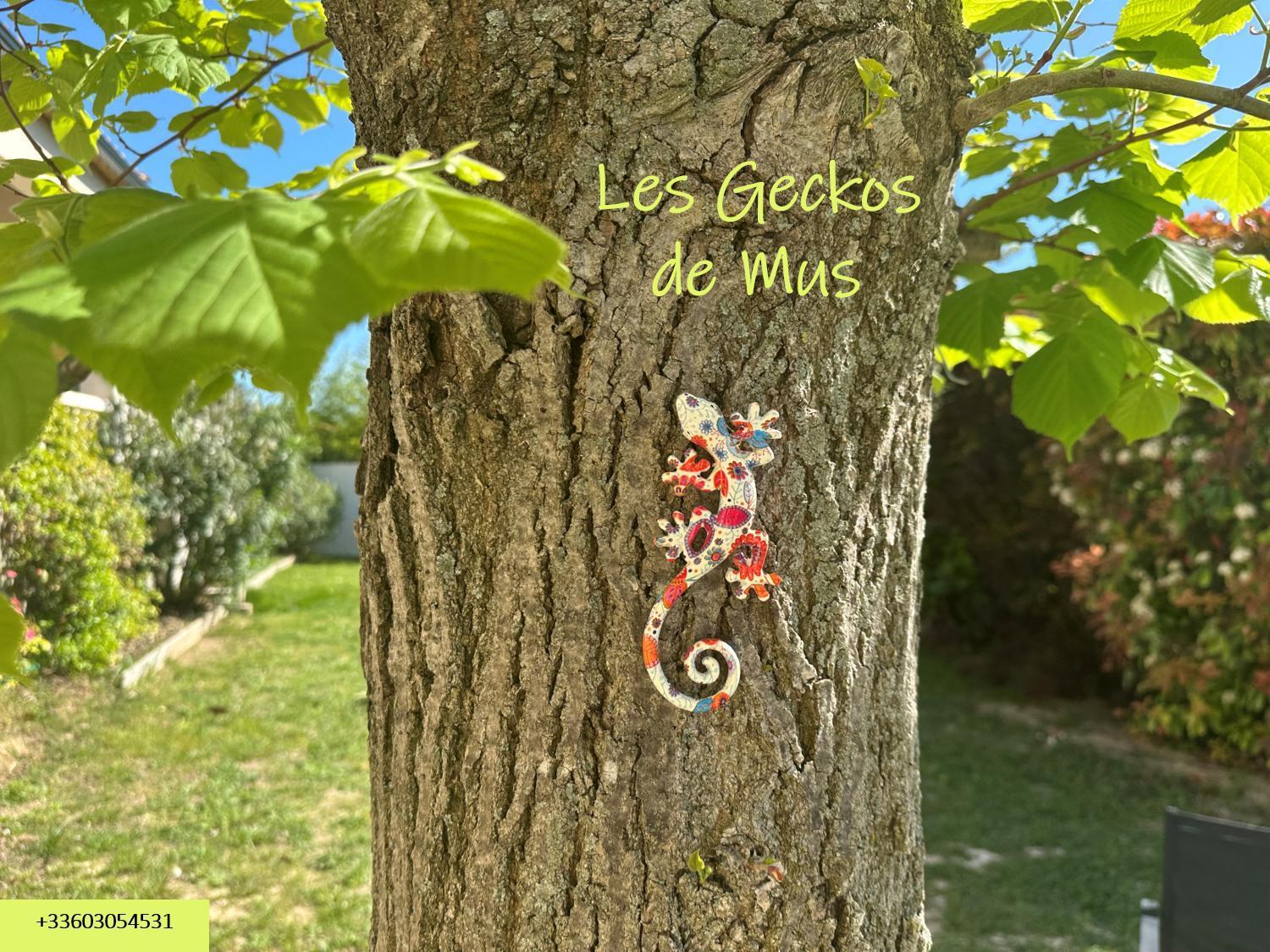 Les Geckos De Mus公寓 外观 照片